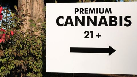 Premium cannabis 21+ sign with arrow