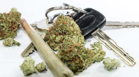 Car keys mixed with marijuana and blunt