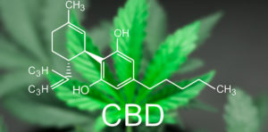 marijuana leaf with chemical compound of CBD on top