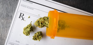 marijuana in orange pill container
