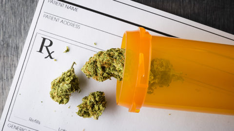 marijuana in orange pill container