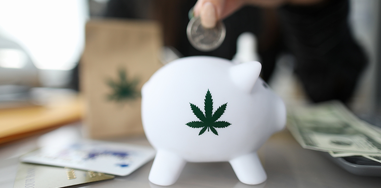Cannabis piggy bank feature photo