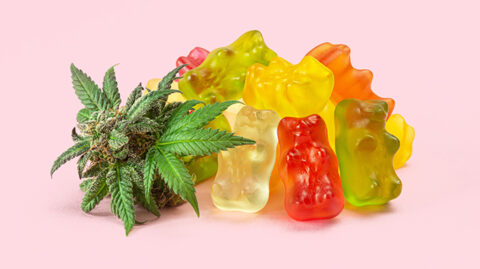 Gummy bears next to a marijuana leaf