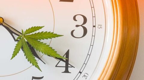 Marijuana on clock